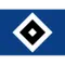 HSV
