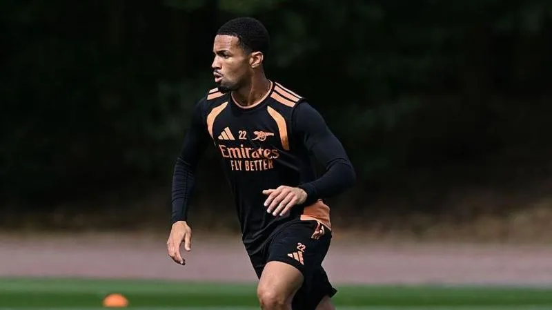 Arsenal's Nwaneri joins Dortmund on loan